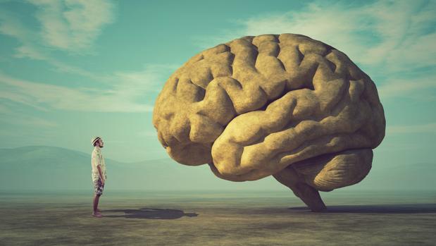inteligencias multiples