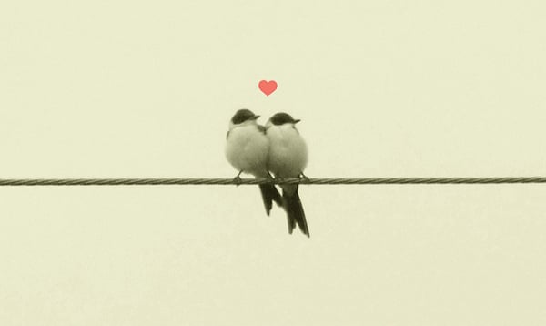 poesías de amor